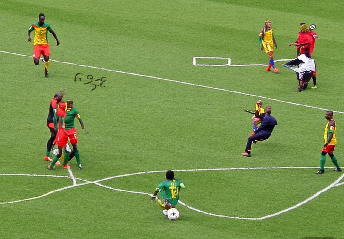 巴西vs喀麦隆友谊赛：战术对决与球员风采解析(图3)